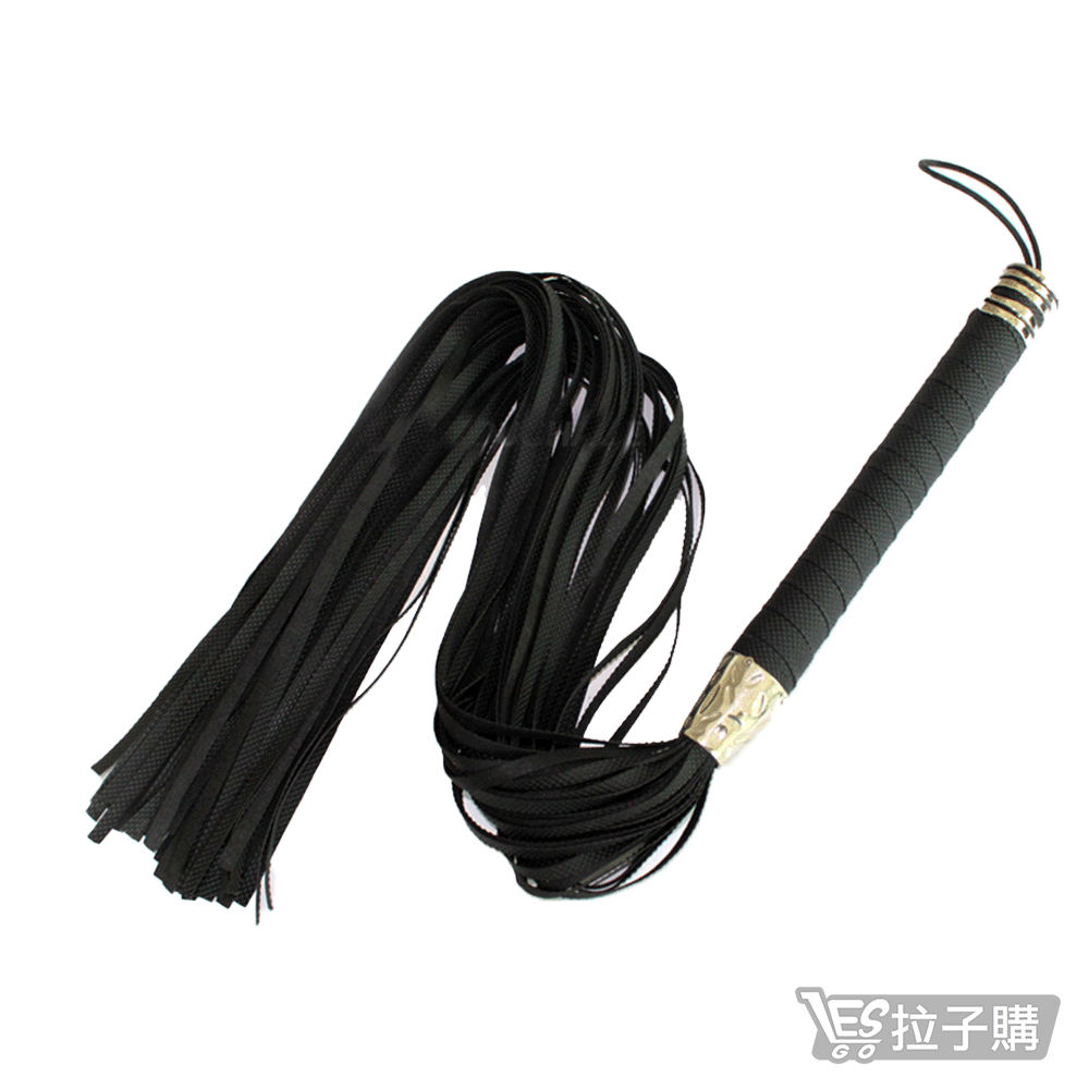 【Hacker】The Queen's Whip